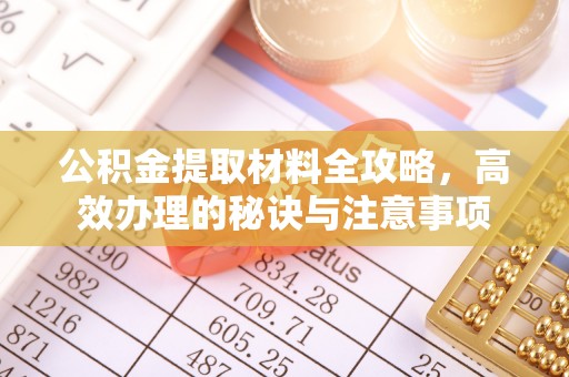 延平公积金提取材料全攻略，高效办理的秘诀与注意事项