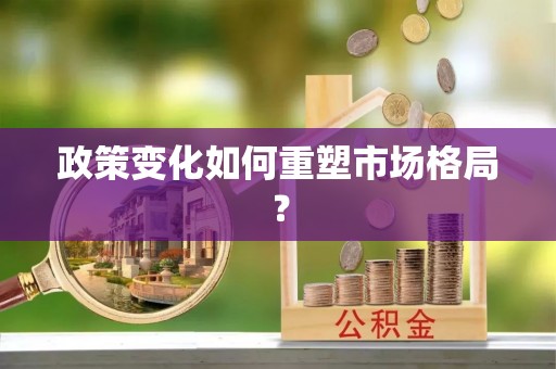 延平政策变化如何重塑市场格局？