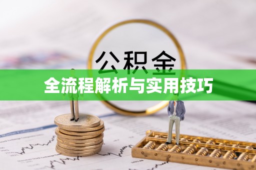 延平全流程解析与实用技巧