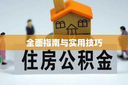 延平全面指南与实用技巧