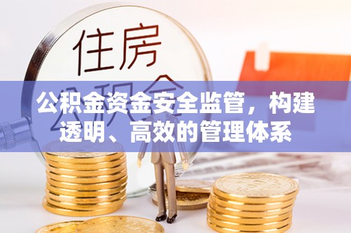 延平公积金资金安全监管，构建透明、高效的管理体系