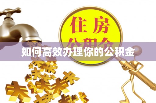 延平如何高效办理你的公积金