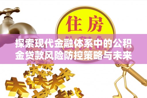 延平探索现代金融体系中的公积金贷款风险防控策略与未来发展趋势