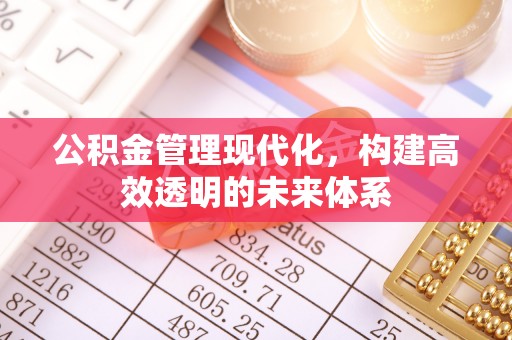 延平公积金管理现代化，构建高效透明的未来体系