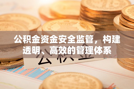 延平公积金资金安全监管，构建透明、高效的管理体系