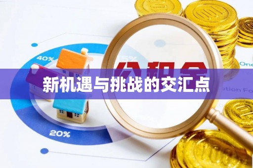 延平新机遇与挑战的交汇点
