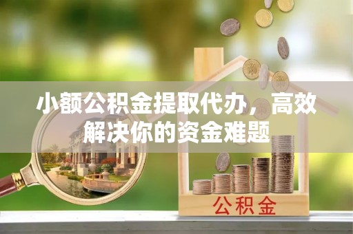 延平小额公积金提取代办，高效解决你的资金难题