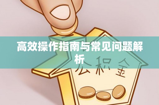 延平高效操作指南与常见问题解析