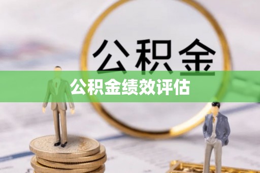 延平公积金绩效评估