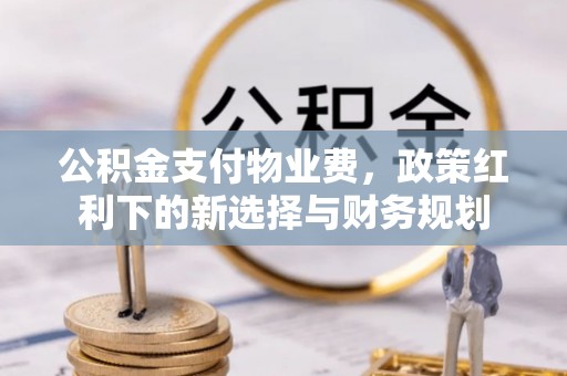 延平公积金支付物业费，政策红利下的新选择与财务规划