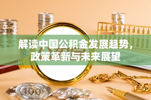 延平解读中国公积金发展趋势，政策革新与未来展望