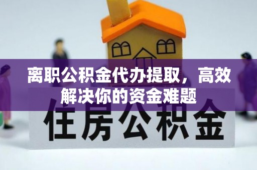 延平离职公积金代办提取，高效解决你的资金难题