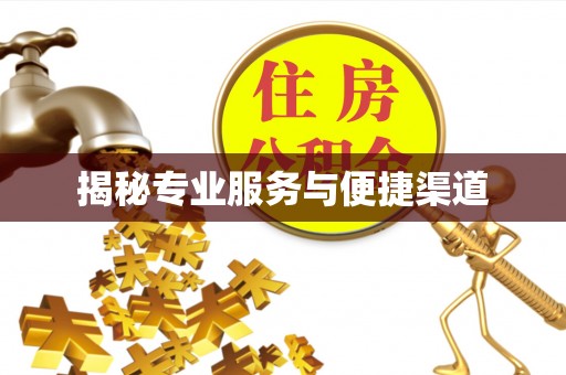 延平揭秘专业服务与便捷渠道
