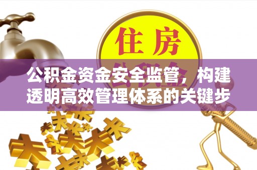 延平公积金资金安全监管，构建透明高效管理体系的关键步骤