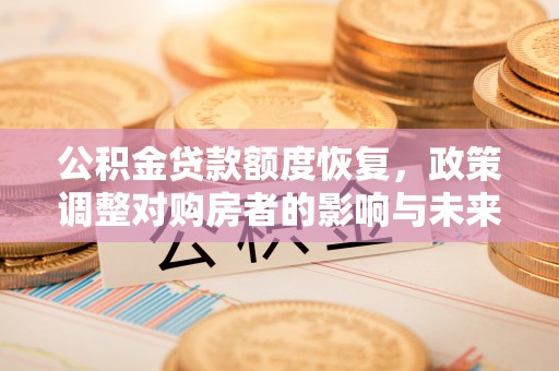 延平公积金贷款额度恢复，政策调整对购房者的影响与未来展望