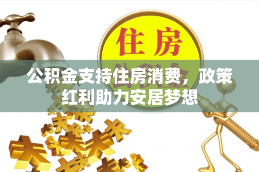 延平公积金支持住房消费，政策红利助力安居梦想