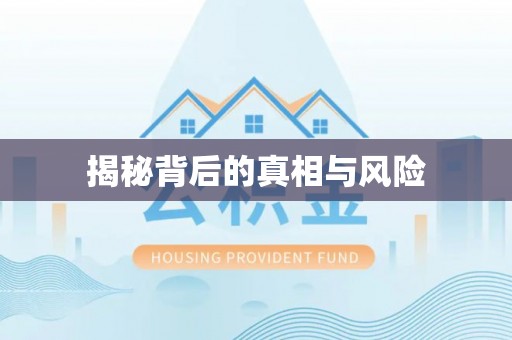 延平揭秘背后的真相与风险