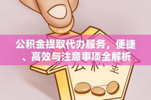 延平公积金提取代办服务，便捷、高效与注意事项全解析