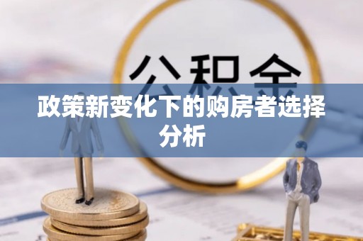 延平政策新变化下的购房者选择分析