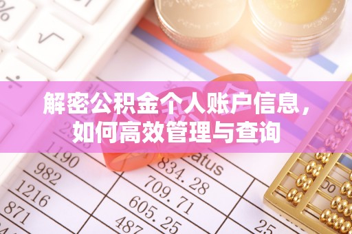 延平解密公积金个人账户信息，如何高效管理与查询