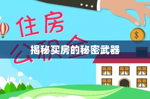 延平揭秘买房的秘密武器