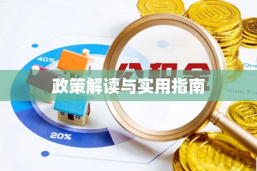 延平政策解读与实用指南