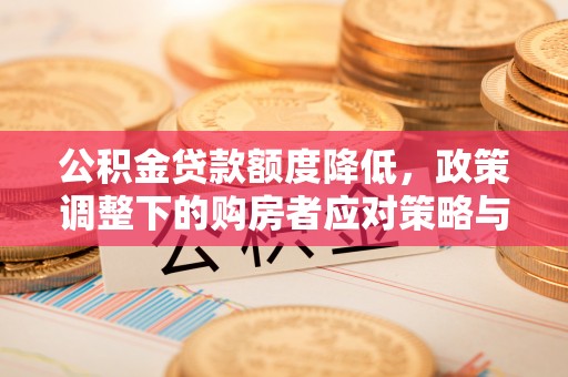 延平公积金贷款额度降低，政策调整下的购房者应对策略与未来趋势