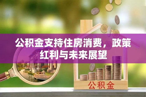 延平公积金支持住房消费，政策红利与未来展望
