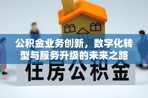 延平公积金业务创新，数字化转型与服务升级的未来之路