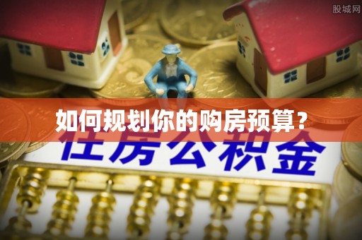 延平如何规划你的购房预算？