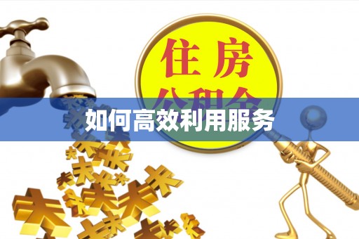 延平如何高效利用服务