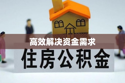 延平高效解决资金需求