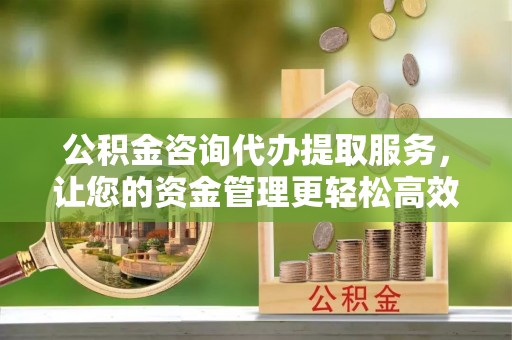 延平公积金咨询代办提取服务，让您的资金管理更轻松高效