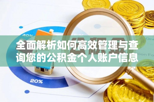 延平全面解析如何高效管理与查询您的公积金个人账户信息