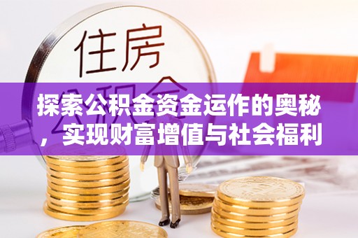 延平探索公积金资金运作的奥秘，实现财富增值与社会福利双赢