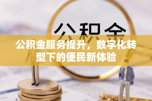 延平公积金服务提升，数字化转型下的便民新体验