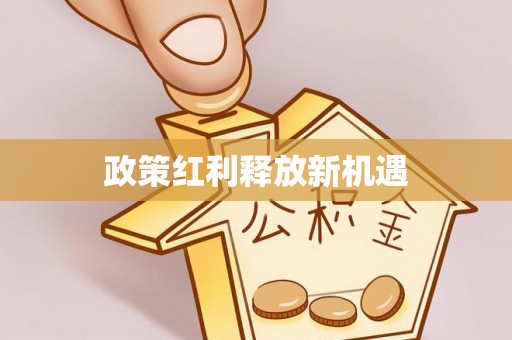 延平政策红利释放新机遇