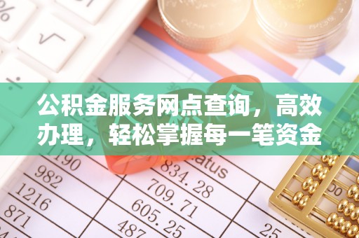 延平公积金服务网点查询，高效办理，轻松掌握每一笔资金动态