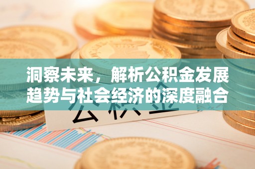 延平洞察未来，解析公积金发展趋势与社会经济的深度融合