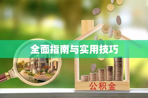 延平全面指南与实用技巧