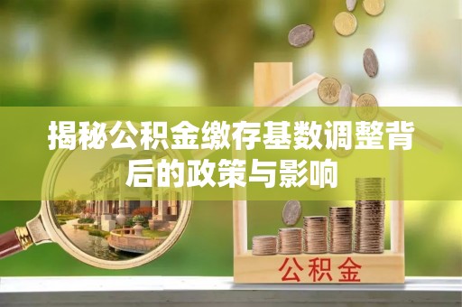 延平揭秘公积金缴存基数调整背后的政策与影响