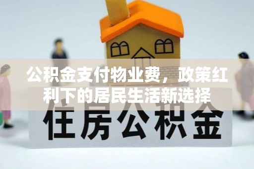 延平公积金支付物业费，政策红利下的居民生活新选择