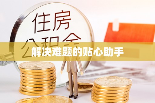 延平解决难题的贴心助手