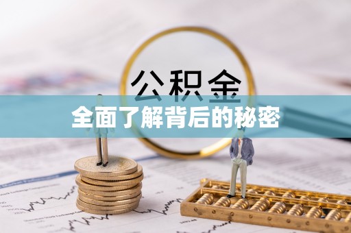 延平全面了解背后的秘密