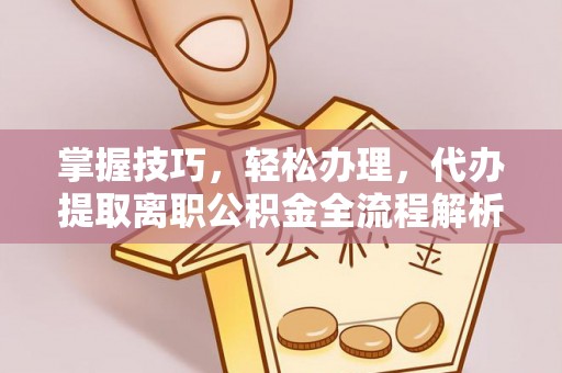 延平掌握技巧，轻松办理，代办提取离职公积金全流程解析