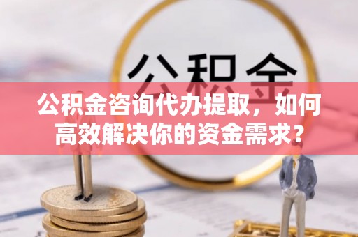 延平公积金咨询代办提取，如何高效解决你的资金需求？