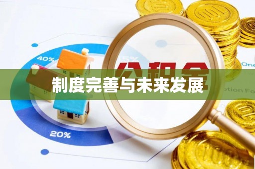 延平制度完善与未来发展