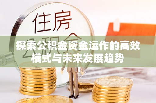 延平探索公积金资金运作的高效模式与未来发展趋势