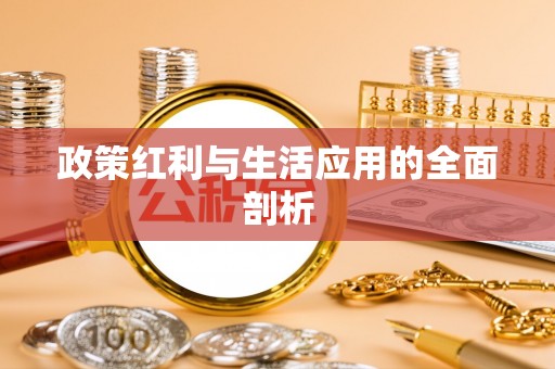 延平政策红利与生活应用的全面剖析
