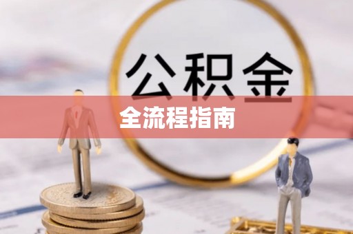 延平全流程指南